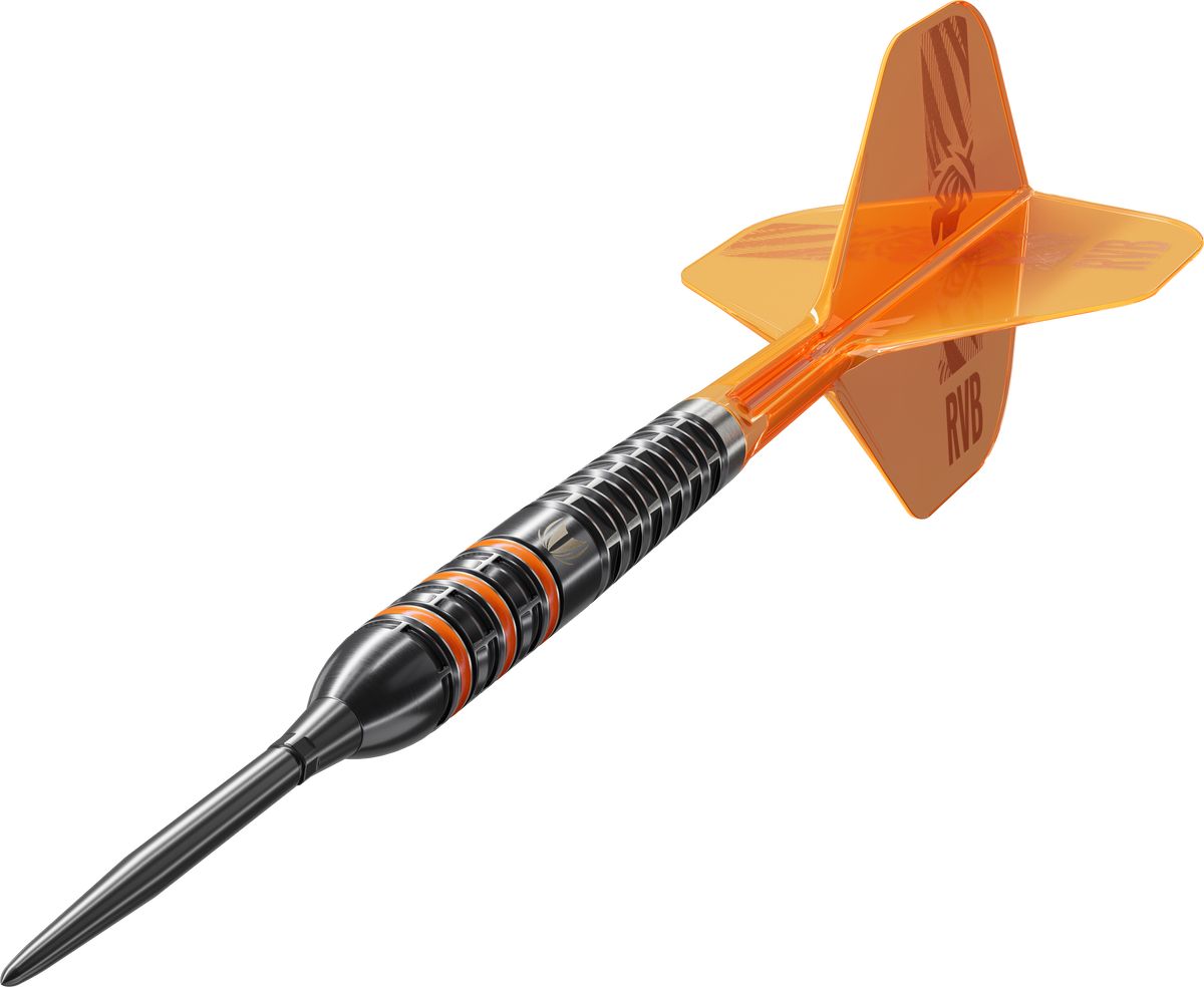 TARGET - RAYMOND VAN BARNEVELD - 95k - 2026 - SWISS POINT DARTS - 95% - 21g/23g/25g