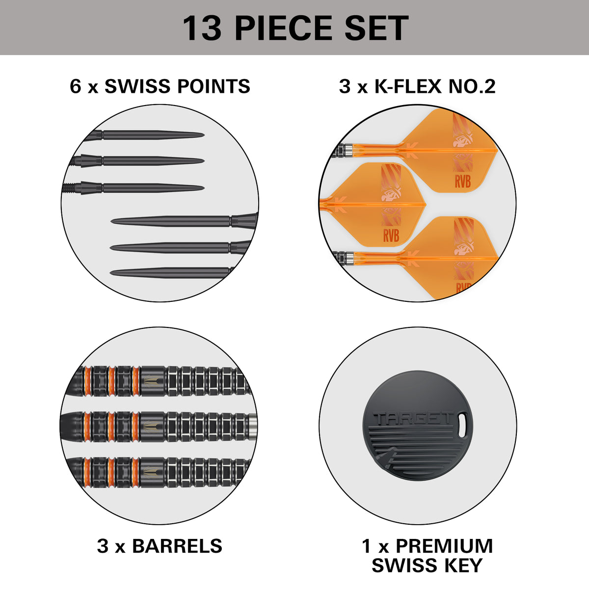 TARGET - RAYMOND VAN BARNEVELD - 95k - 2026 - SWISS POINT DARTS - 95% - 21g/23g/25g