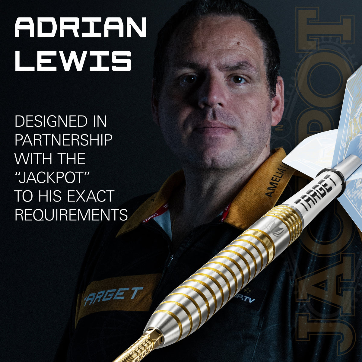 TARGET - ADRIAN LEWIS - SHOWDOWN! - SWISS POINT DARTS - 95% - 23g/35g