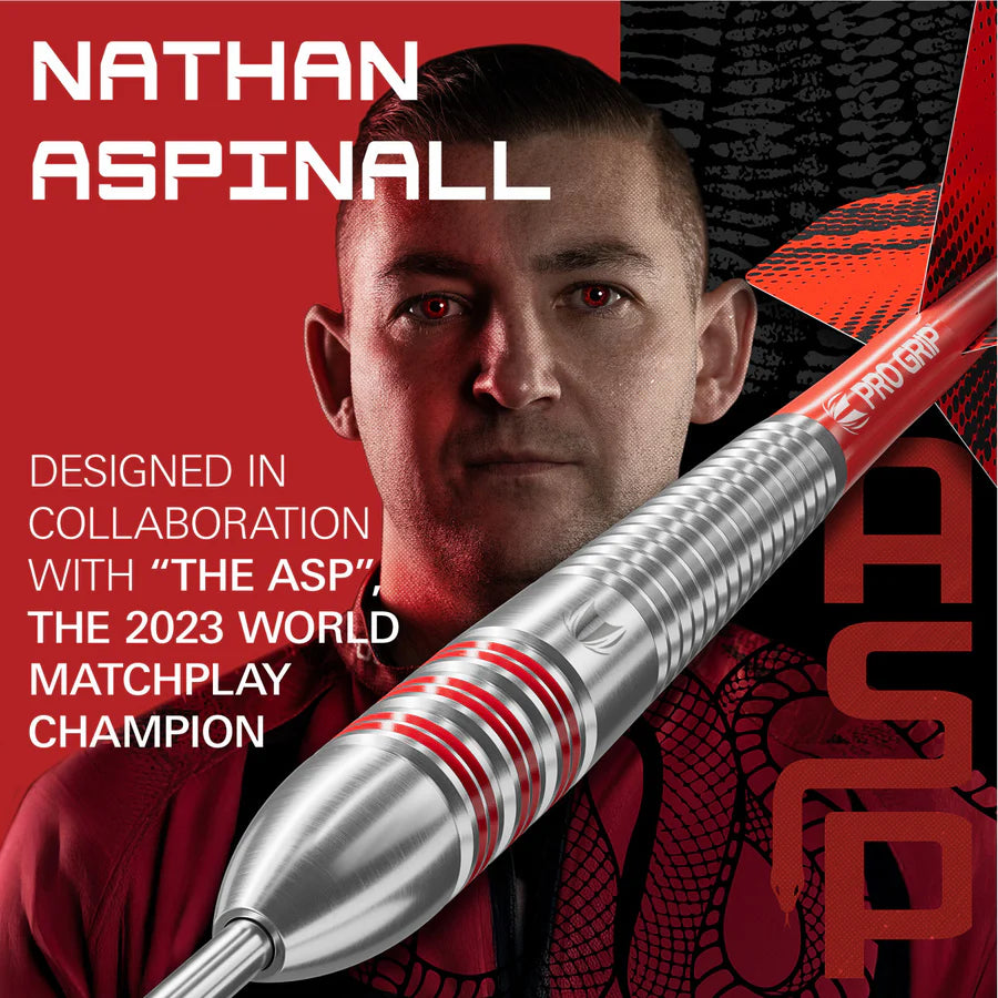 TARGET - NATHAN ASPINALL - BRASS - STEEL TIP POINT - BRASS DARTS - 22g