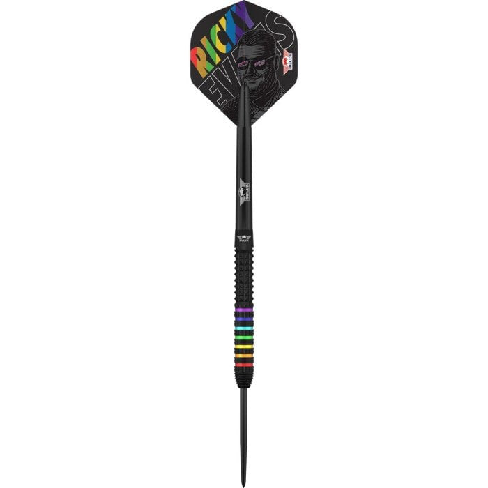 BULL'S (Bulls NL) - RICKY EVANS - STEEL TIP DARTS - 95% - 23g/25g