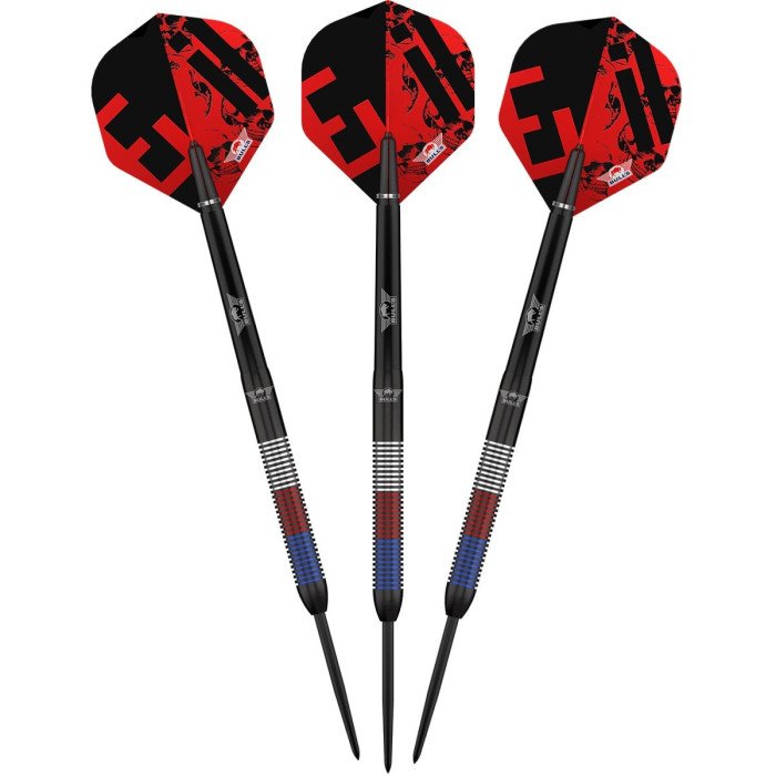 BULL'S (Bulls NL) - KAREL SEDLACEK - E2 - STEEL TIP DARTS - 90% - 21g/24g