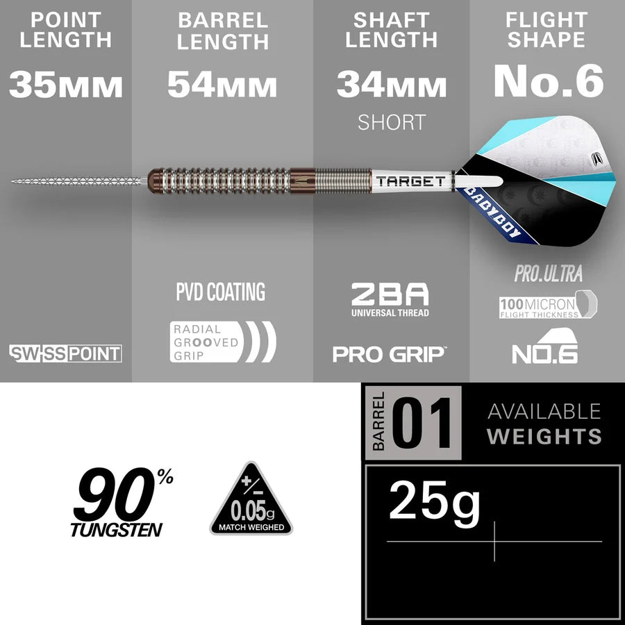 TARGET - ADAM LIPSCOMBE - SWISS POINT DARTS - 90% - 25g